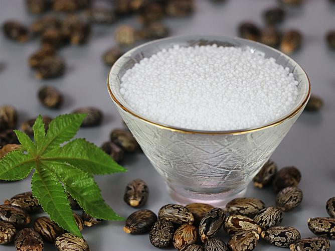双碳目标下生物基癸二酸 行业委员会的积极实践与产业链未来展望